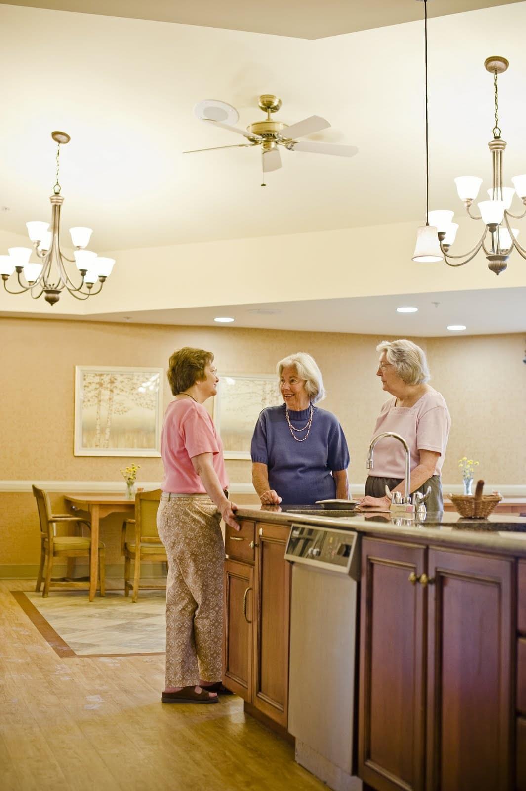 Homestead Village Senior Living Community Assisted Living, Nursing Home, Independent Living